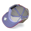 GORRA GOORIN BROS DOBERMAN 1010403GRE GRIS