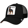Gorra Goorin Bros Perro Rottweiler 1010493BLK Negro Original