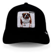 Gorra Goorin Bros Bulldog 1010440BLK Negro Original