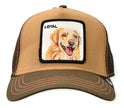 Gorra Goorin Bros Labrador 1010505BRO Marrón Original