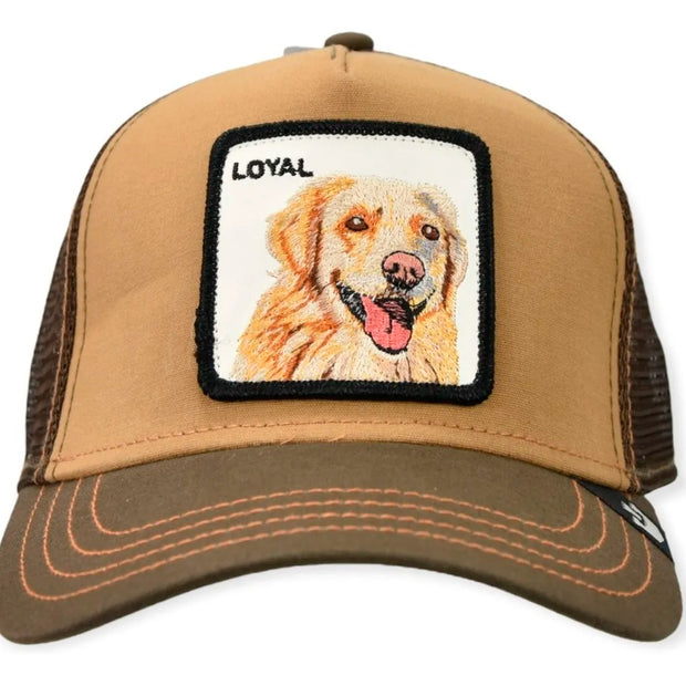 Gorra Goorin Bros Labrador 1010505BRO Marrón Original